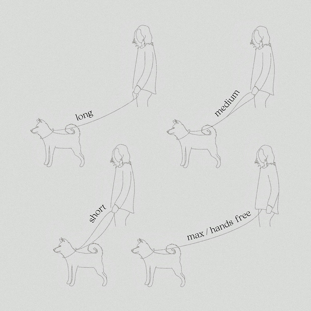 フレキシブルリード WIDE 幅2.5cm（航空用アルミ製カラビナ）/ MELLEM X LEASH WIDE