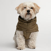 パファージャケット / AL PUFFER