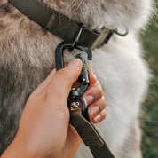 フレキシブルリード WIDE 幅2.5cm（航空用アルミ製カラビナ）/ MELLEM X LEASH WIDE