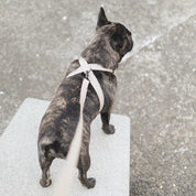 八の字型ハーネス / OTTO escape proof harness